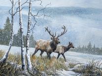 Deer Path IV-B. Lynnsy-Mounted Art Print