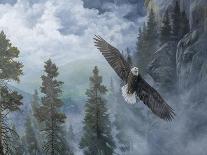 Soaring High II-B. Lynnsy-Framed Art Print