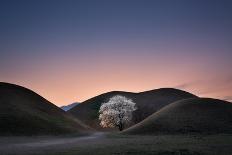 King's Grave-B Moon-Photographic Print