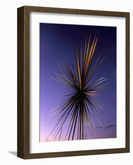 B of the Bang, Modern Steel Sculpture, City of Manchester Stadium, Manchester, England-Charles Bowman-Framed Photographic Print