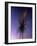 B of the Bang, Modern Steel Sculpture, City of Manchester Stadium, Manchester, England-Charles Bowman-Framed Photographic Print