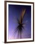 B of the Bang, Modern Steel Sculpture, City of Manchester Stadium, Manchester, England-Charles Bowman-Framed Photographic Print