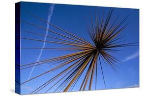B of the Bang, Modern Steel Sculpture, City of Manchester Stadium, Manchester, England-Charles Bowman-Stretched Canvas