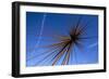 B of the Bang, Modern Steel Sculpture, City of Manchester Stadium, Manchester, England-Charles Bowman-Framed Photographic Print