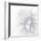 B&W Dahlia R 2a-Suzanne Foschino-Framed Photographic Print