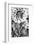 B&W Flower 2-Incado-Framed Photographic Print