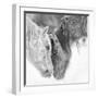 B&W Horses VII-PHBurchett-Framed Photographic Print