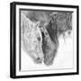 B&W Horses VII-PHBurchett-Framed Photographic Print