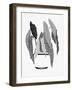 B&W Indoor Plant V-Stellar Design Studio-Framed Art Print