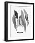 B&W Indoor Plant V-Stellar Design Studio-Framed Art Print