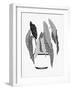 B&W Indoor Plant V-Stellar Design Studio-Framed Art Print