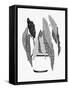 B&W Indoor Plant V-Stellar Design Studio-Framed Stretched Canvas