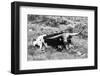 B&W Longhorn I-Tyler Stockton-Framed Photographic Print