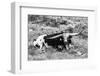 B&W Longhorn I-Tyler Stockton-Framed Photographic Print