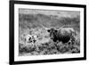 B&W Longhorn II-Tyler Stockton-Framed Photographic Print