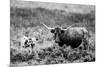 B&W Longhorn II-Tyler Stockton-Mounted Photographic Print