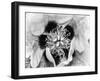 B&W Peony I-Franklin Kearney-Framed Photographic Print