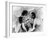 B&W Peony I-Franklin Kearney-Framed Photographic Print