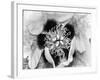 B&W Peony I-Franklin Kearney-Framed Photographic Print