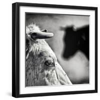 B & W-Piet Flour-Framed Photographic Print