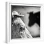 B & W-Piet Flour-Framed Photographic Print