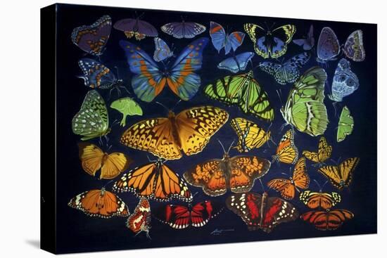 B38 Butterflies-D. Rusty Rust-Stretched Canvas