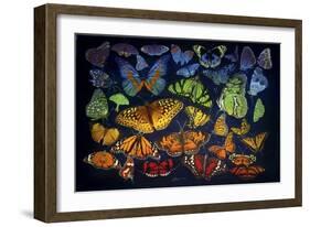 B38 Butterflies-D. Rusty Rust-Framed Giclee Print