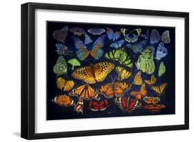 B38 Butterflies-D. Rusty Rust-Framed Giclee Print