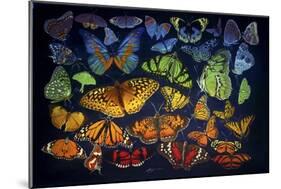 B38 Butterflies-D. Rusty Rust-Mounted Giclee Print