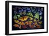 B38 Butterflies-D. Rusty Rust-Framed Premium Giclee Print