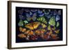 B38 Butterflies-D. Rusty Rust-Framed Giclee Print