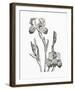 Baardiris-The Vintage Collection-Framed Giclee Print