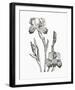 Baardiris-The Vintage Collection-Framed Giclee Print