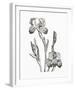 Baardiris-The Vintage Collection-Framed Giclee Print