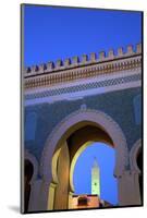 Bab Bou Jeloud, Fez, Morocco, North Africa, Africa-Neil Farrin-Mounted Photographic Print