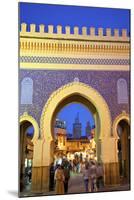 Bab Boujeloud Gate, Fez, Morocco, North Africa-Neil Farrin-Mounted Photographic Print