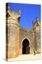 Bab Zaer the Main Gate with Musician, Chellah, Rabat, Morocco, North Africa, Africa-Neil Farrin-Stretched Canvas