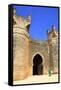 Bab Zaer the Main Gate with Musician, Chellah, Rabat, Morocco, North Africa, Africa-Neil Farrin-Framed Stretched Canvas