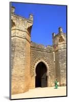 Bab Zaer the Main Gate with Musician, Chellah, Rabat, Morocco, North Africa, Africa-Neil Farrin-Mounted Photographic Print