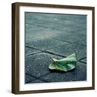 Babbelute-Cristina Salas Mendoza-Framed Photographic Print