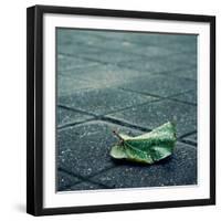 Babbelute-Cristina Salas Mendoza-Framed Photographic Print