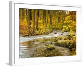 Babbling New England Brook over a Rocky Stream Bed Amongst Colorful Fall Foliage-Frances Gallogly-Framed Photographic Print