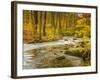 Babbling New England Brook over a Rocky Stream Bed Amongst Colorful Fall Foliage-Frances Gallogly-Framed Photographic Print