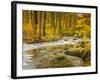 Babbling New England Brook over a Rocky Stream Bed Amongst Colorful Fall Foliage-Frances Gallogly-Framed Photographic Print