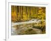 Babbling New England Brook over a Rocky Stream Bed Amongst Colorful Fall Foliage-Frances Gallogly-Framed Photographic Print