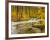 Babbling New England Brook over a Rocky Stream Bed Amongst Colorful Fall Foliage-Frances Gallogly-Framed Photographic Print