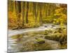 Babbling New England Brook over a Rocky Stream Bed Amongst Colorful Fall Foliage-Frances Gallogly-Mounted Photographic Print