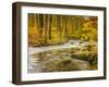 Babbling New England Brook over a Rocky Stream Bed Amongst Colorful Fall Foliage-Frances Gallogly-Framed Photographic Print