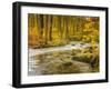 Babbling New England Brook over a Rocky Stream Bed Amongst Colorful Fall Foliage-Frances Gallogly-Framed Photographic Print