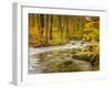 Babbling New England Brook over a Rocky Stream Bed Amongst Colorful Fall Foliage-Frances Gallogly-Framed Photographic Print